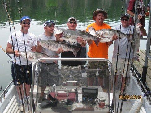 Nice Striped Bass